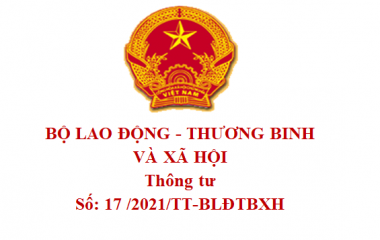 THÔNG TƯ Số: 17 /2021/TT-BLĐTBXH 